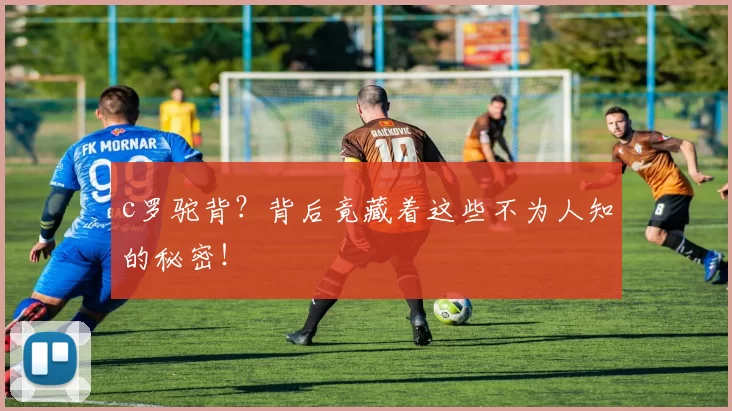 c罗驼背？背后竟藏着这些不为人知的秘密！