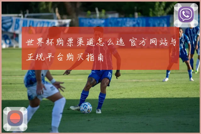 世界杯购票渠道怎么选 官方网站与正规平台购买指南