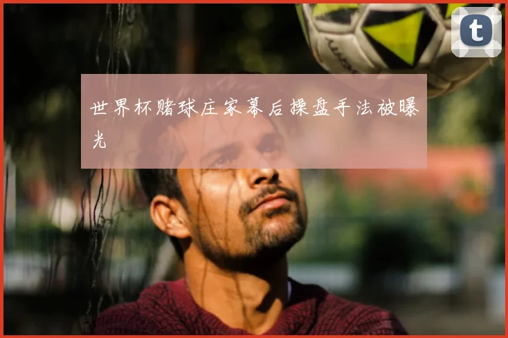 世界杯赌球庄家幕后操盘手法被曝光