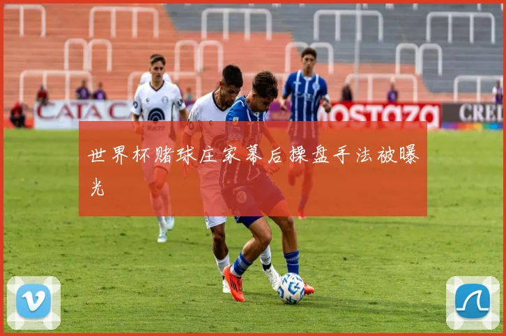 世界杯赌球庄家幕后操盘手法被曝光