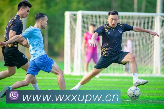 kaiyun开云官方在线入口 - kaiyun开云(中国)平台生态图